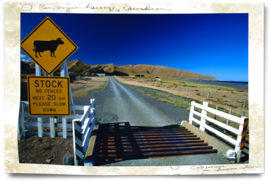 Driving in NZ Cape Palliser