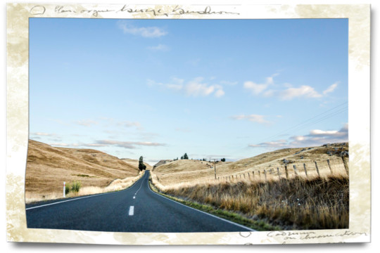 Driving in NZ Hawkes Bay