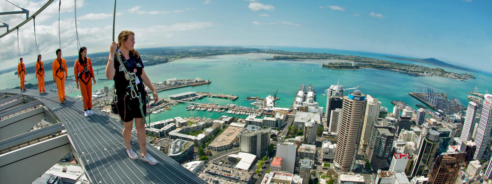 Auckland City 03 P