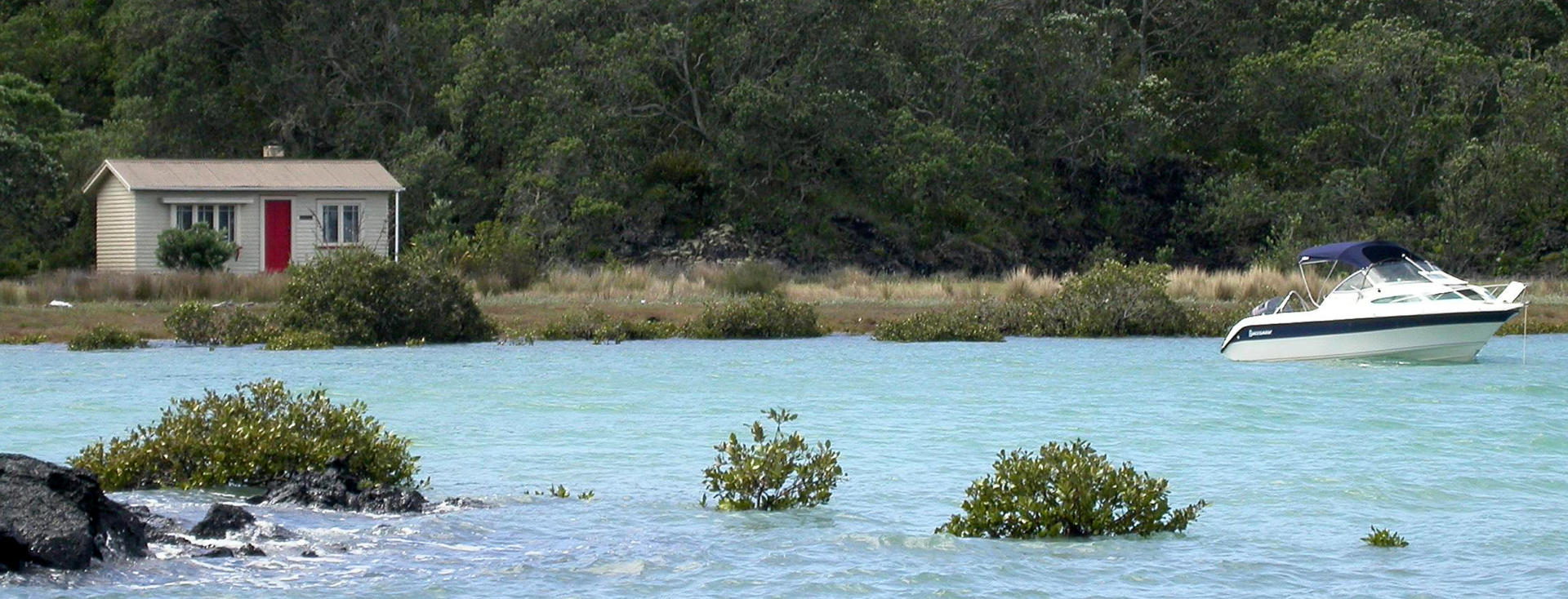 Auckland Rangitoto 02 P