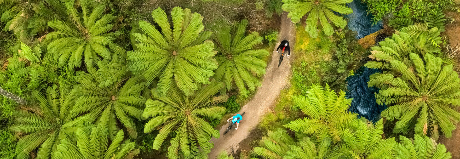 Bay of Plenty Whakarewarewa 02 P