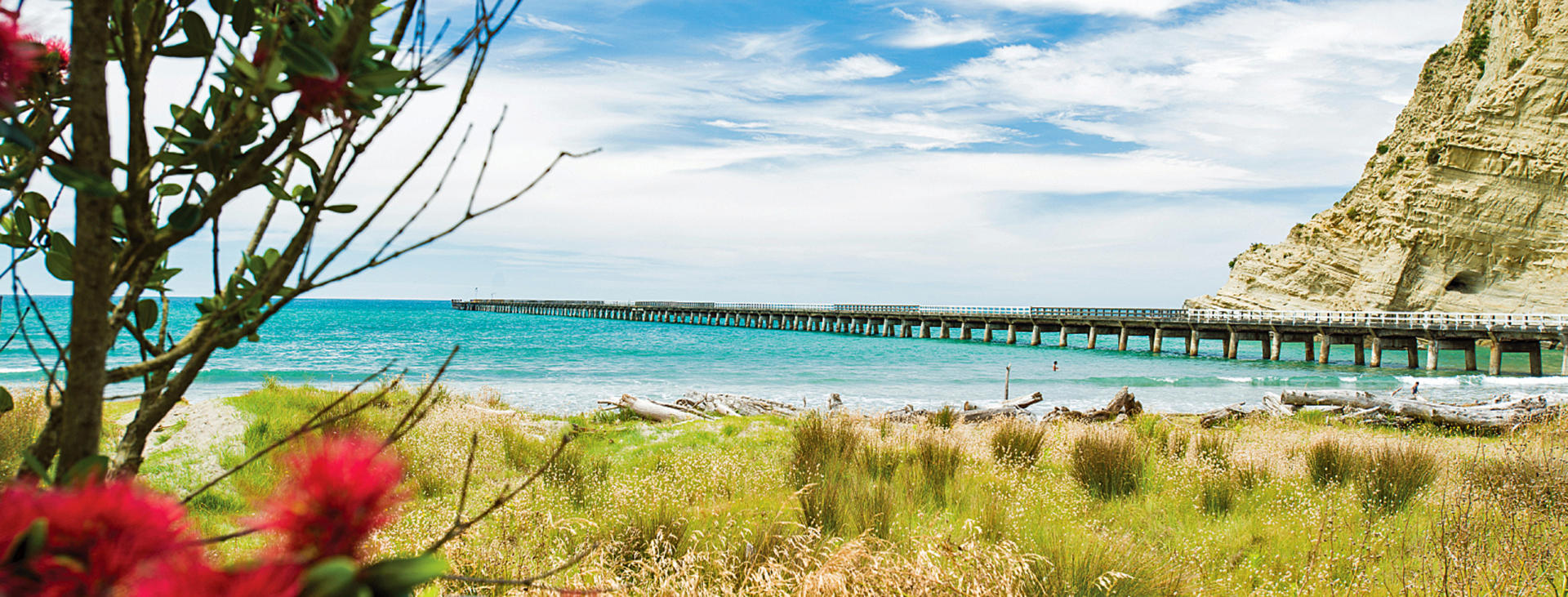 Gisborne Tologa Bay 01 P