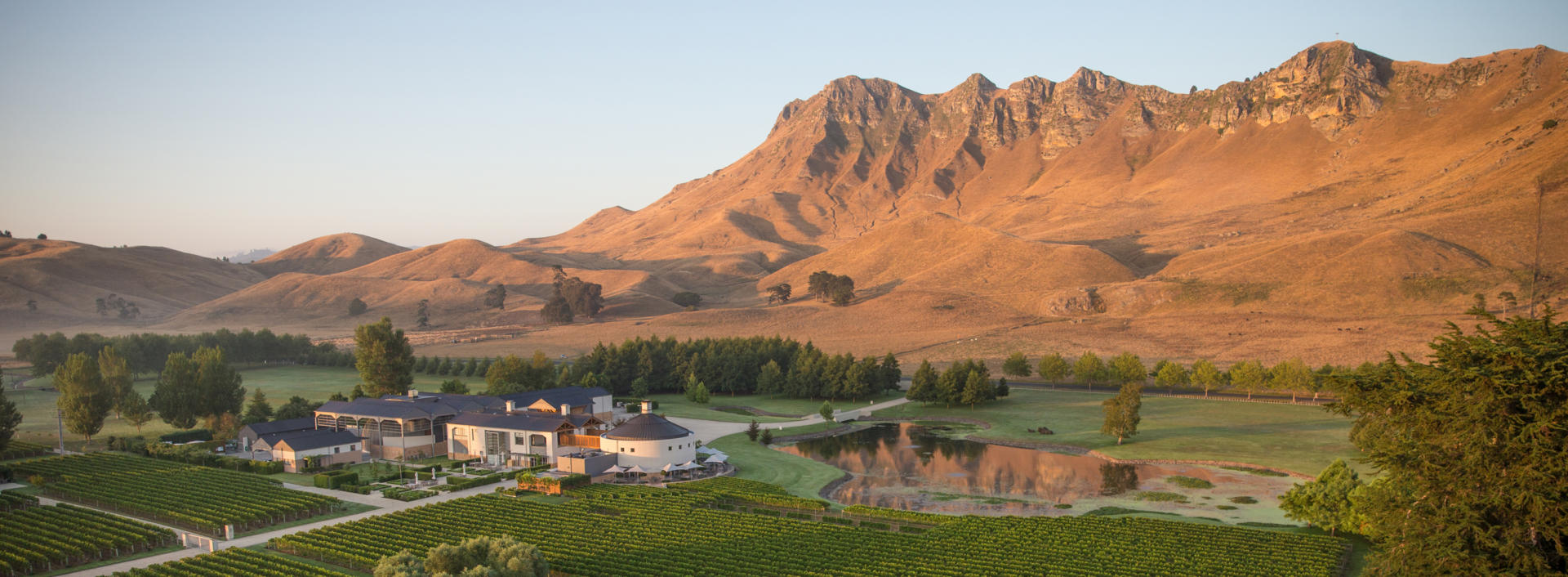 Hawkes Bay Te Mata Peak 01 P