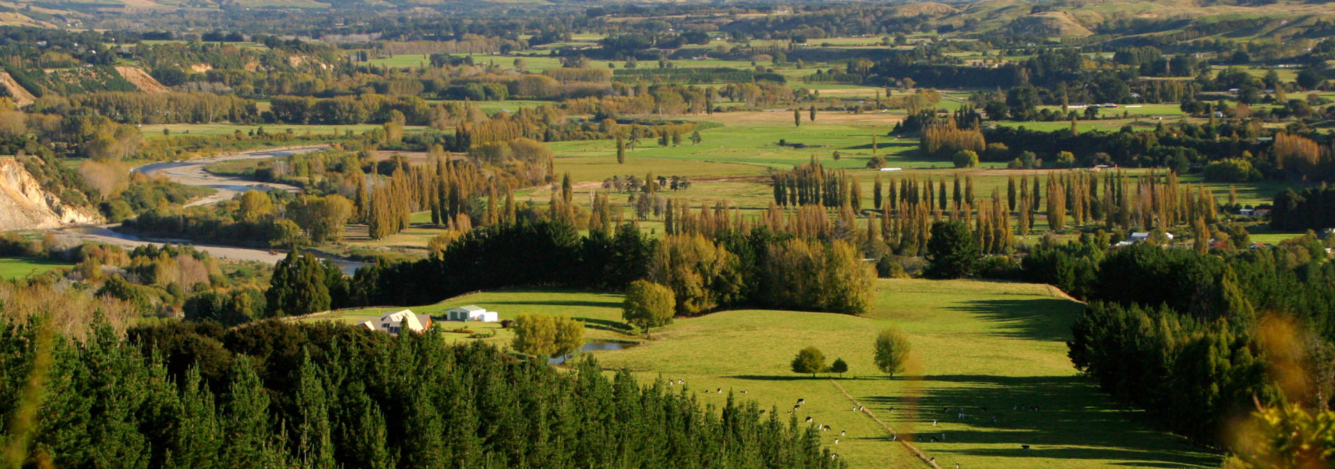 Manawatu Whanganui Rural 01 P