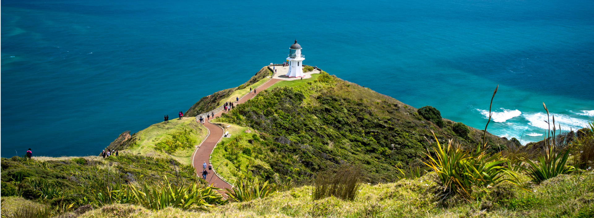 Northland Cape Reinga 01 P