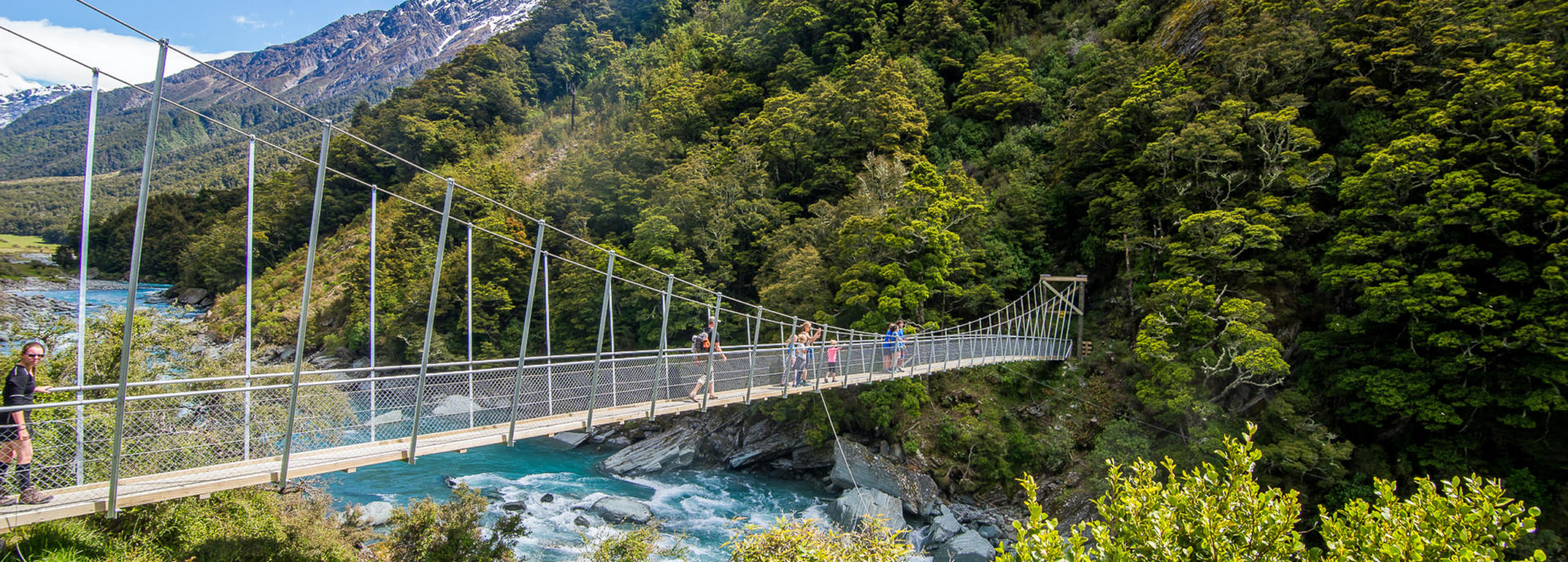 Otago Mt Aspiring NP 03 P