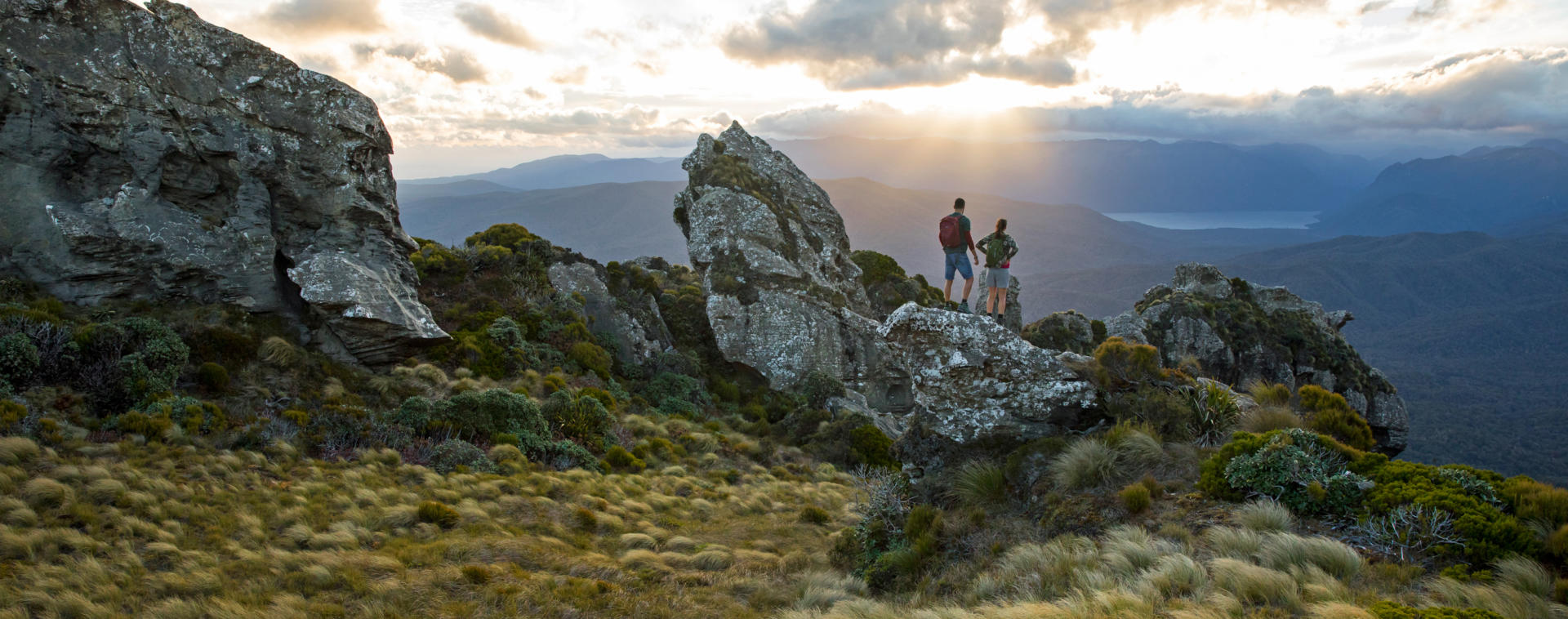 Southland Hump Ridge Track 01 P