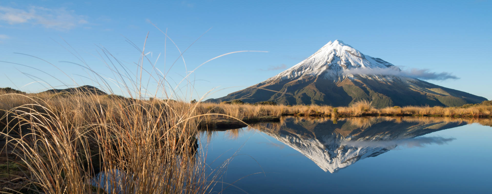 Taranaki Egmont NP 01 P