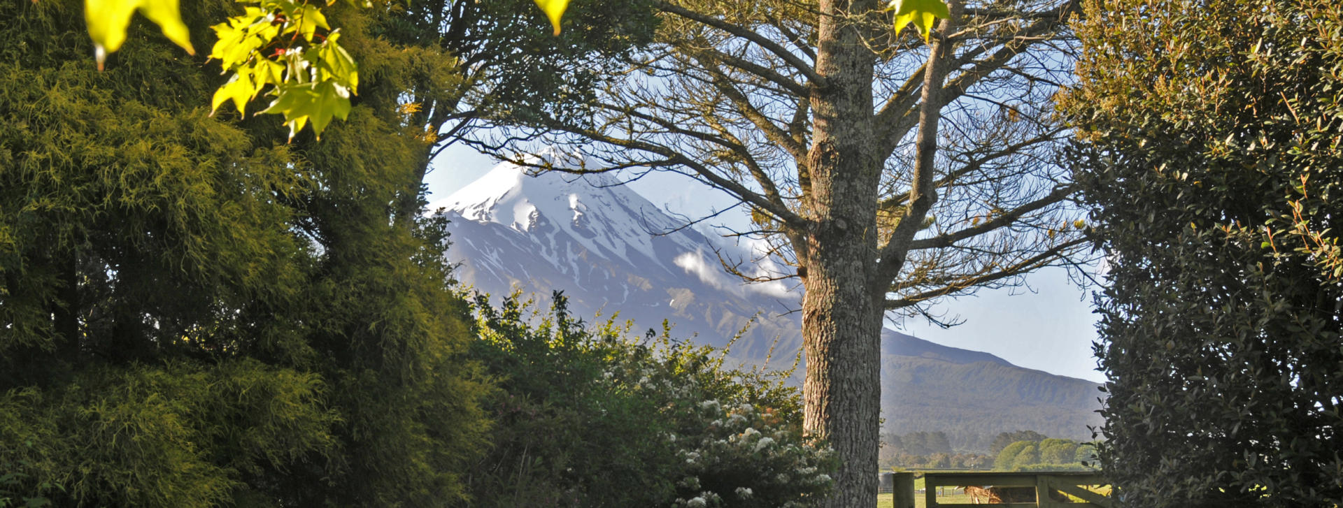 Taranaki Rural 01 P