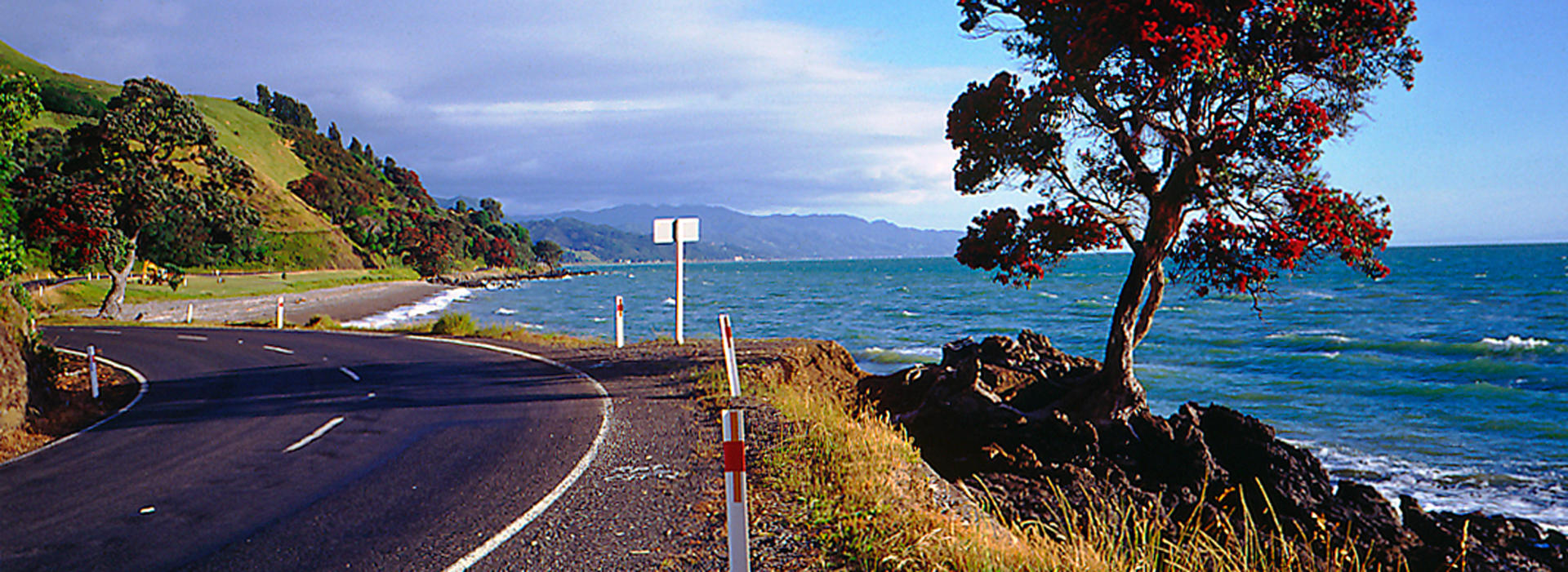 Waikato Coromandel Peninsular 01 P