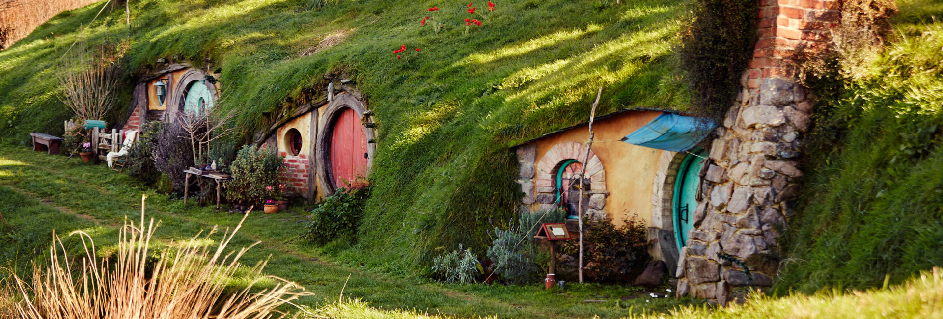 Waikato Hobbiton 01 P