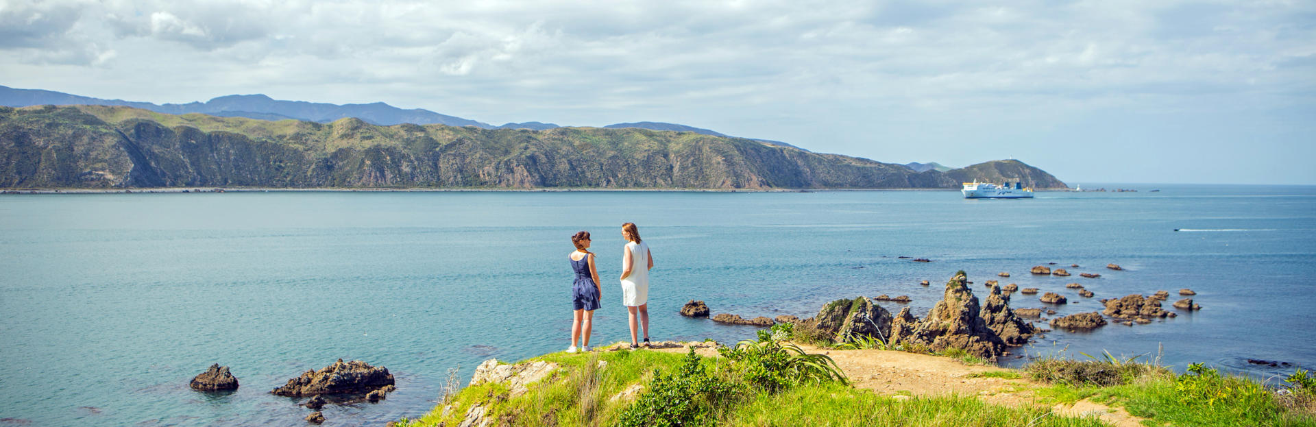 Wellington Cook Strait 02 P