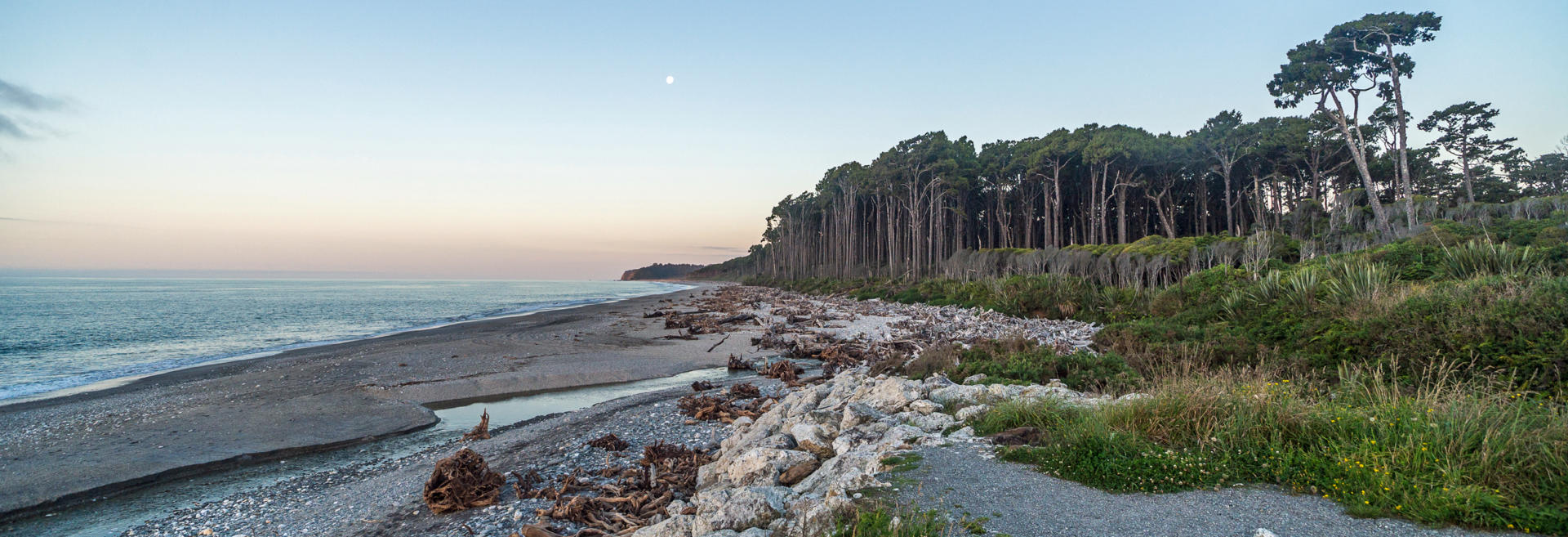 West Coast Haast 02 P