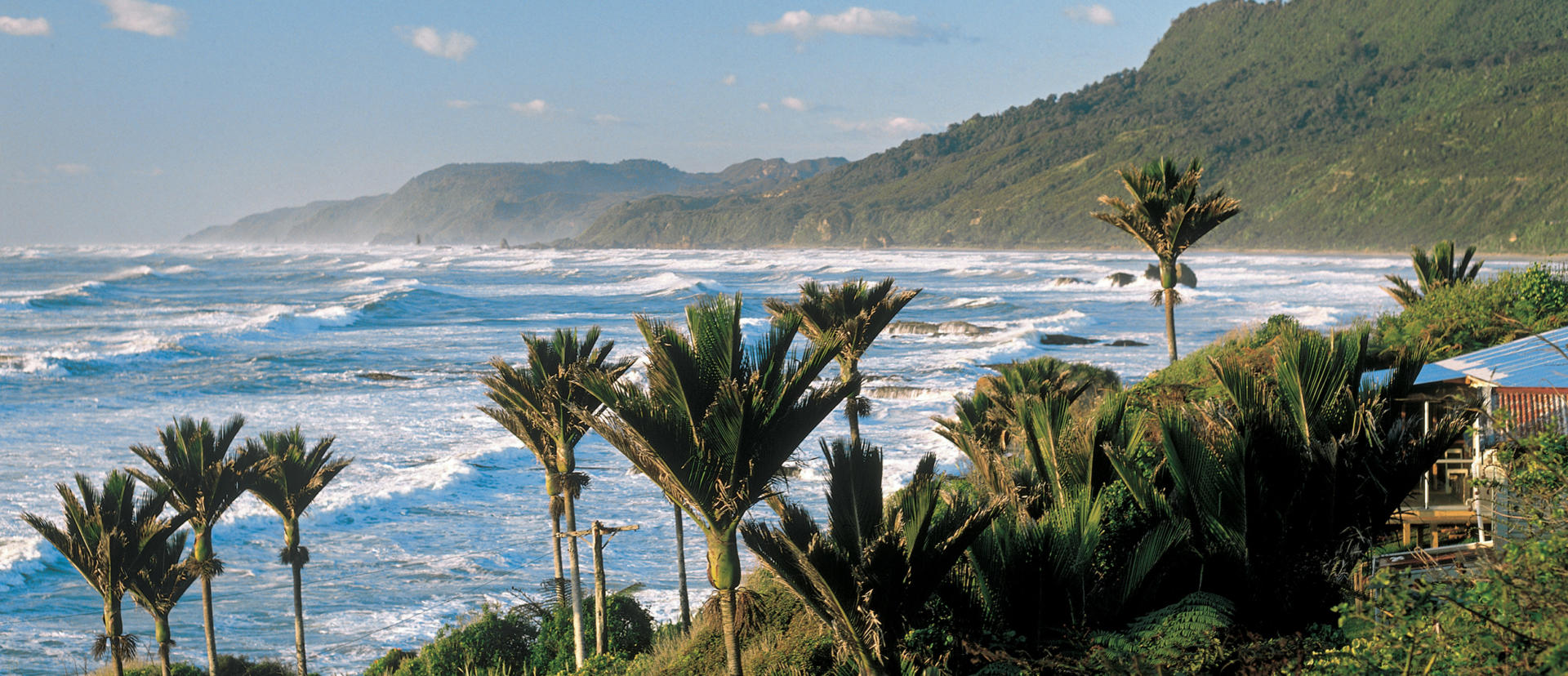 West Coast Paparoa NP Punakaiki 03 P